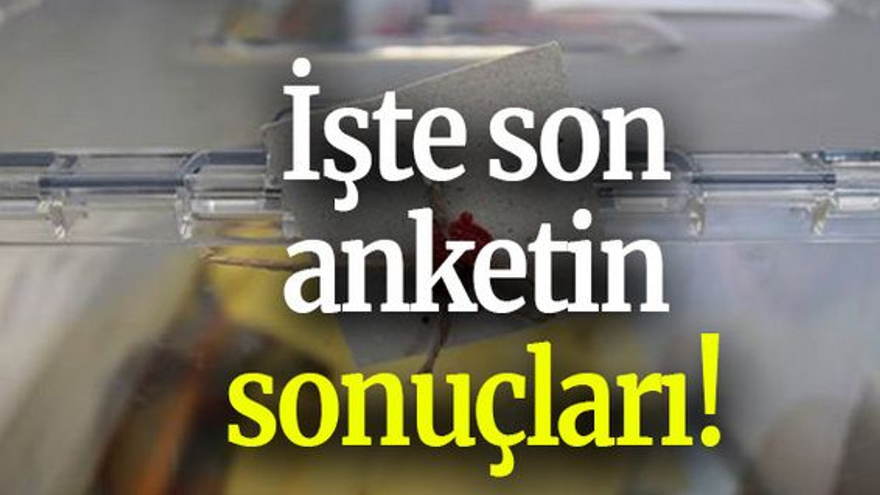 İşte son anketin sonuçları!